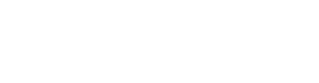 Partner/Subvención